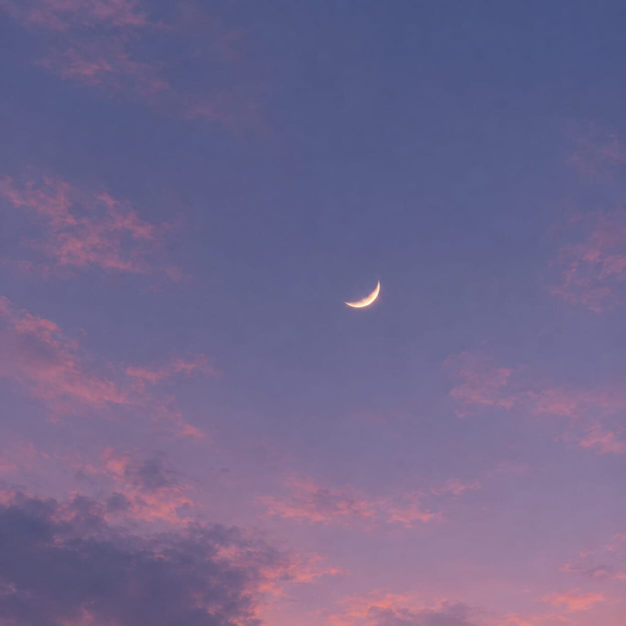 Photograph of a crescent moon in a pink and purple evening sky